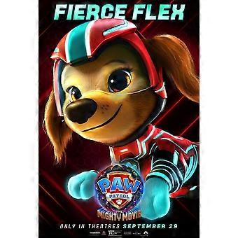 Paw Patrol Brain-Teasing Puzzles BD-3747