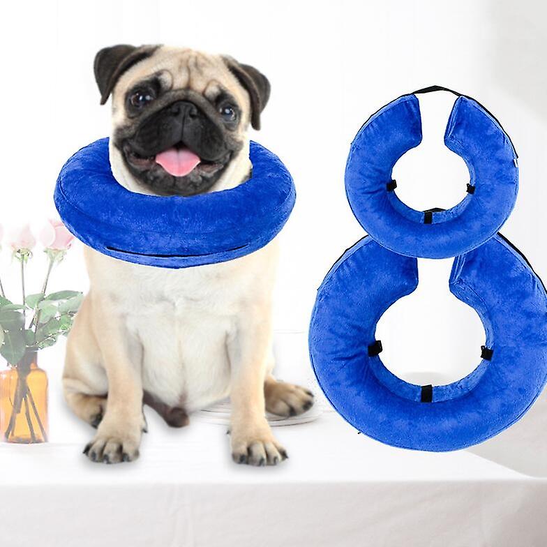 Pet Collar XL