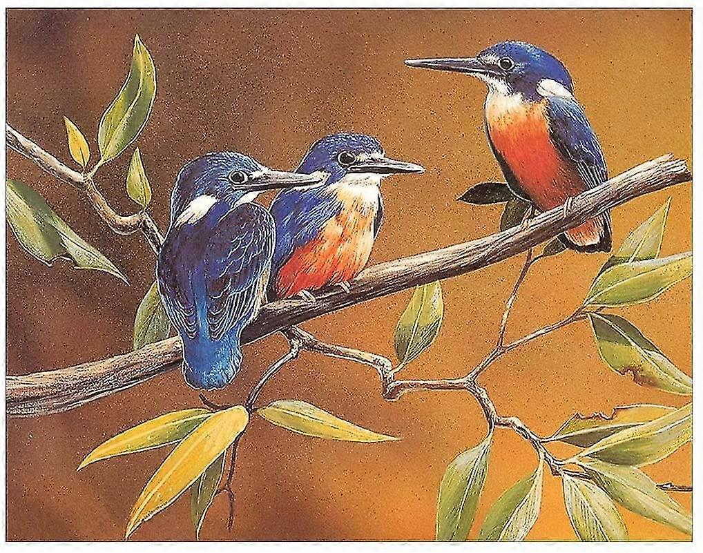 5D الماس الفن مجموعات الطيور كاملة جولة الحفر الحيوانات صورة التطريز لوحات حجر الراين لصق دي اللوحة مجموعة اللوحة مع الماس الحرف الفنية فو