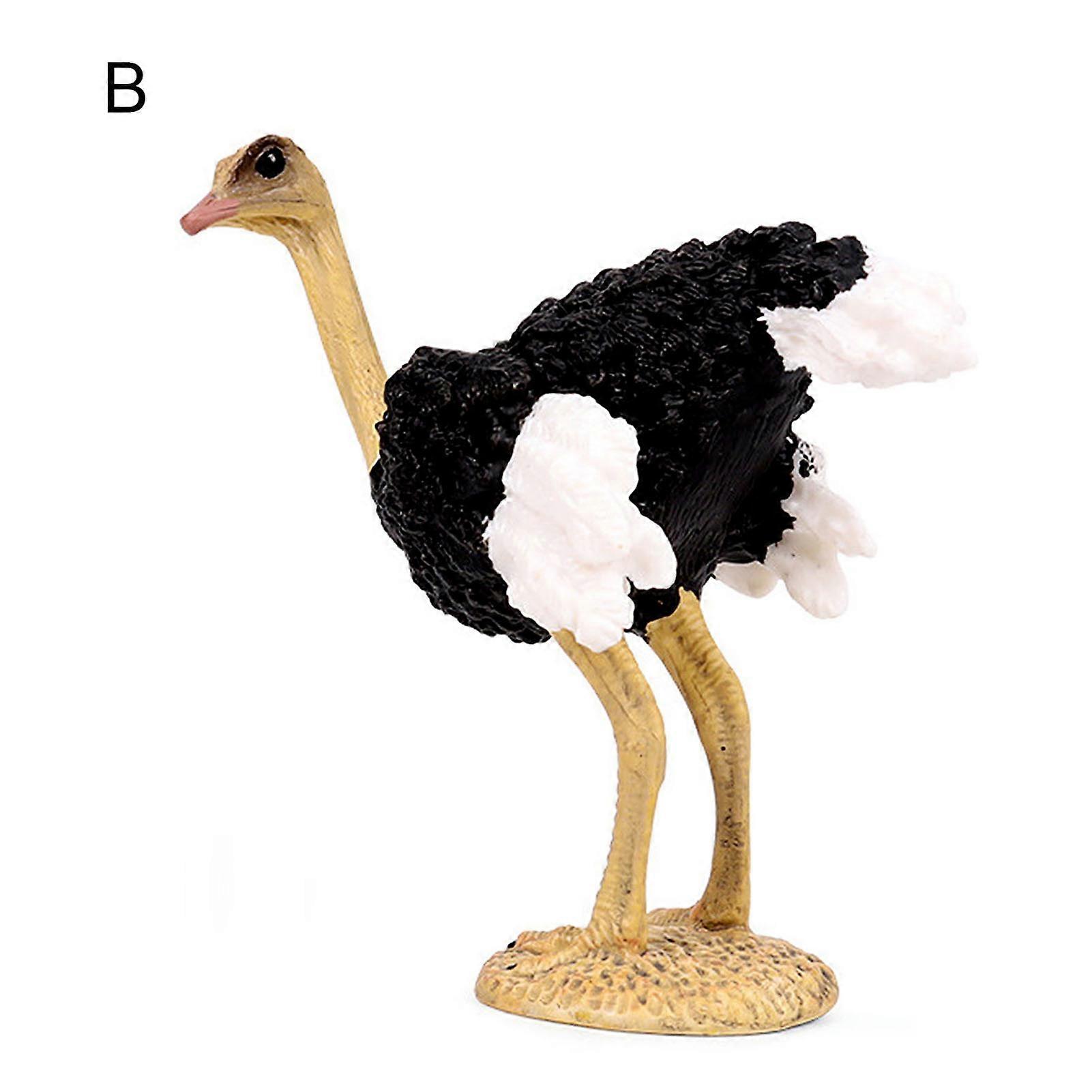 Solid Simulation Animal Ostrich Model Home Decoration Accessory Model Display