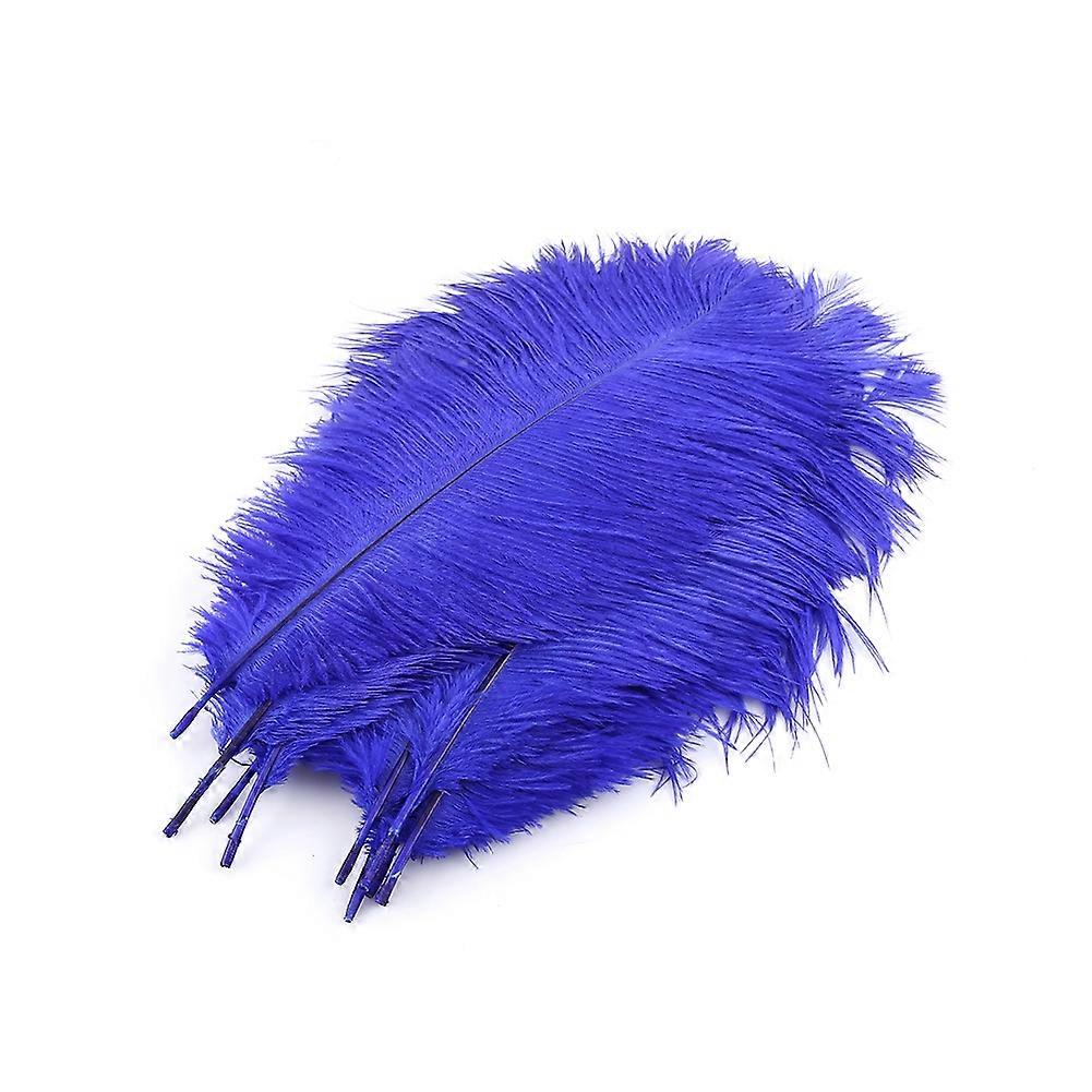 10pcs Natural Ostrich Feathers, Large Fluff, Blue