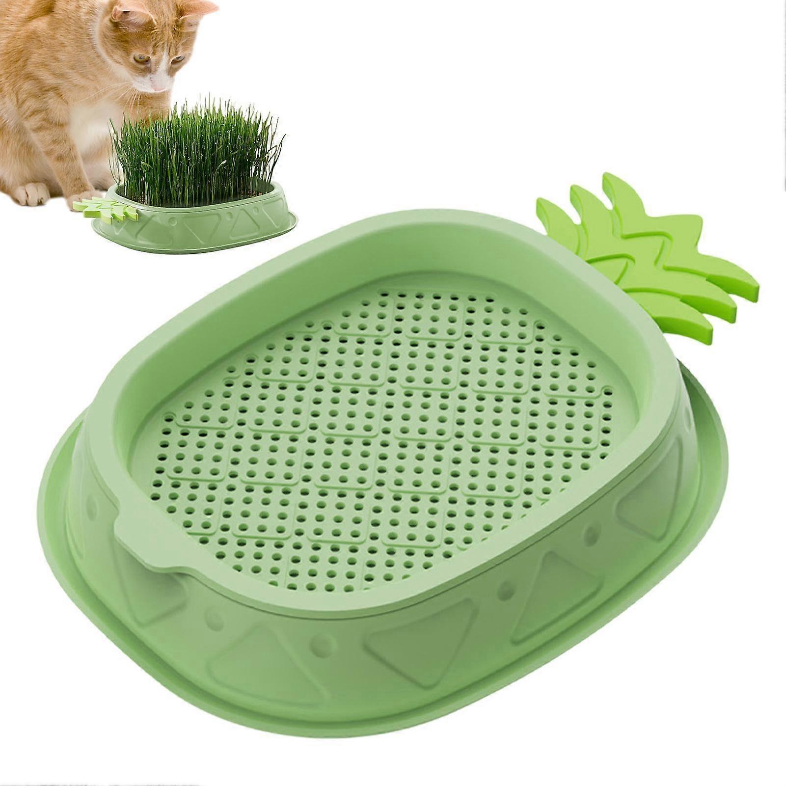 Hydroponic Cat Grass Planter, Pineapple Design, Easy Water Change for Cats