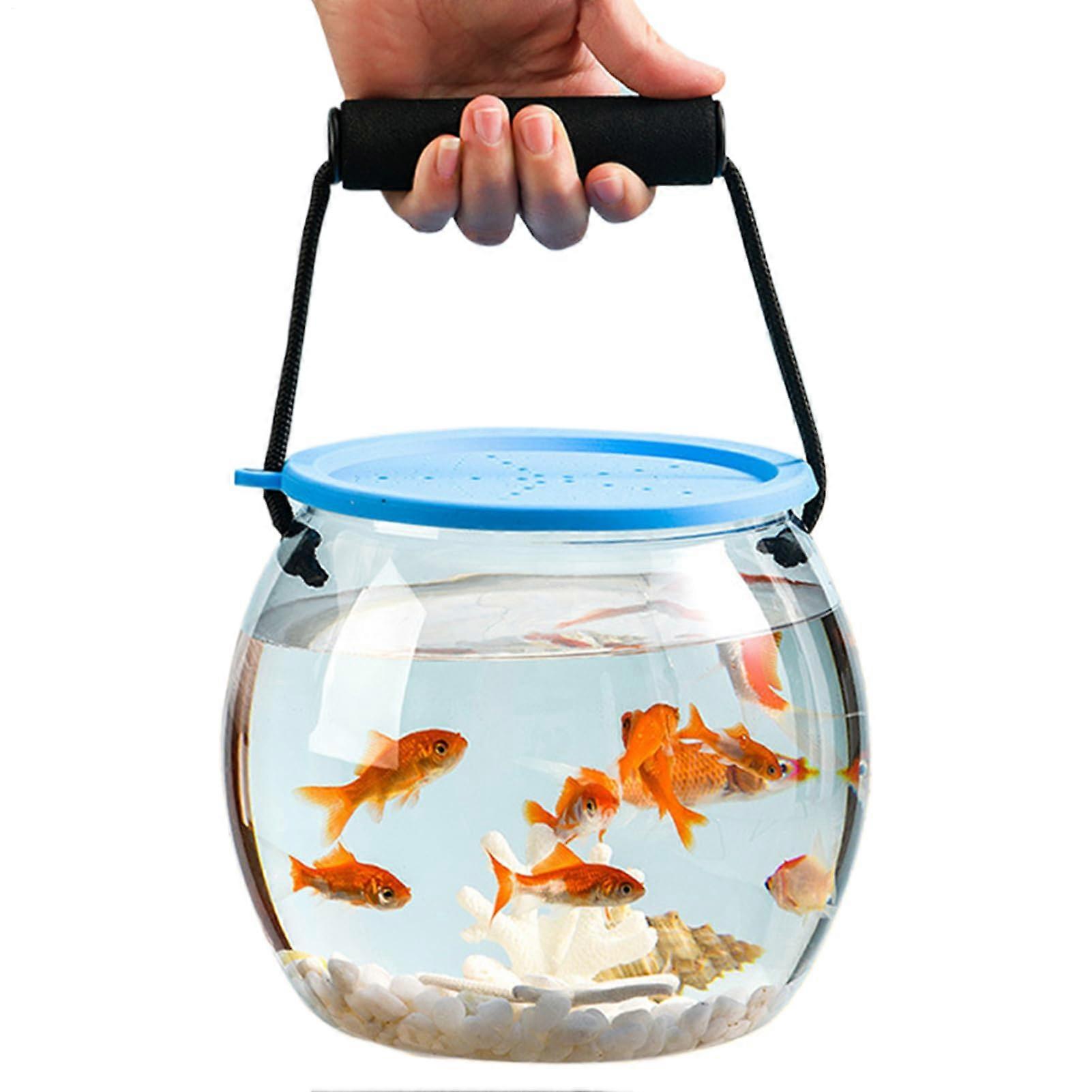 fish container bait box for fishing, transparent breathable portable deco for children travel outdoor desk