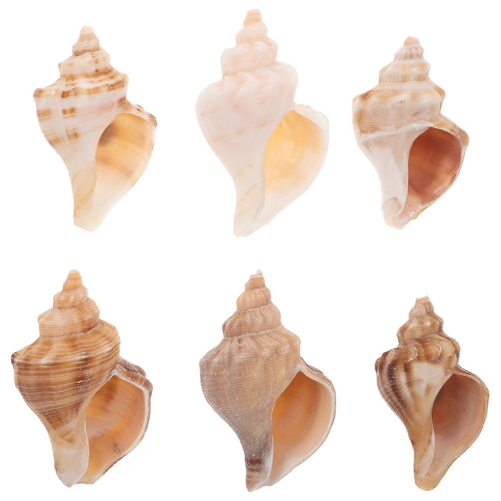 Crab Shells 6Pcs Multi Conch Replacement Shell for Crab