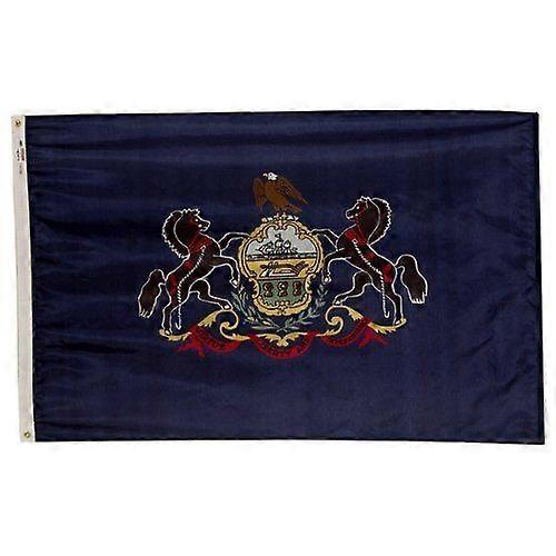 Pennsylvania State Nylon Flag XM 942