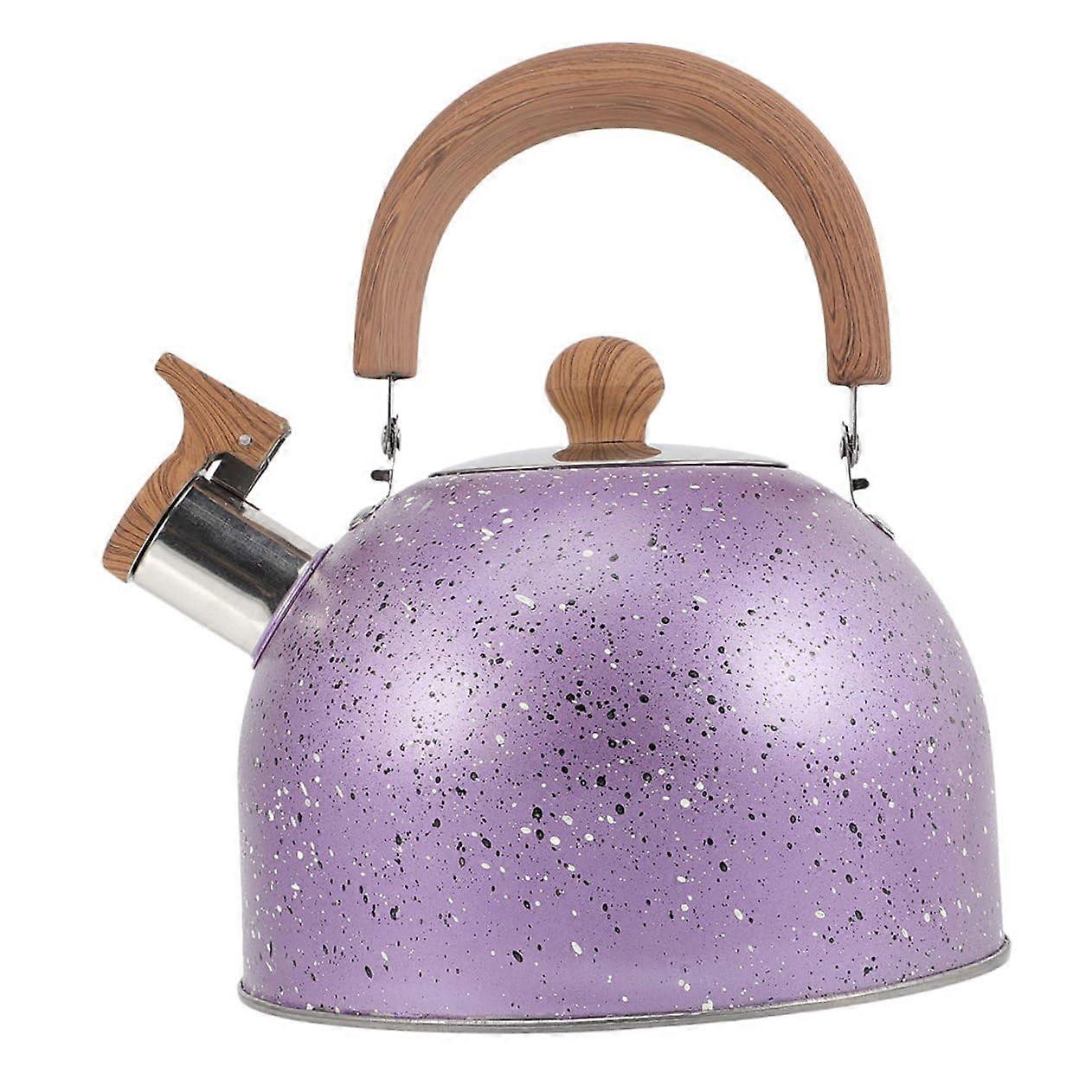 Stainless Steel Whistling Kettle Large Capacity with Loud Whistle and Ergonomic Handle for Tea