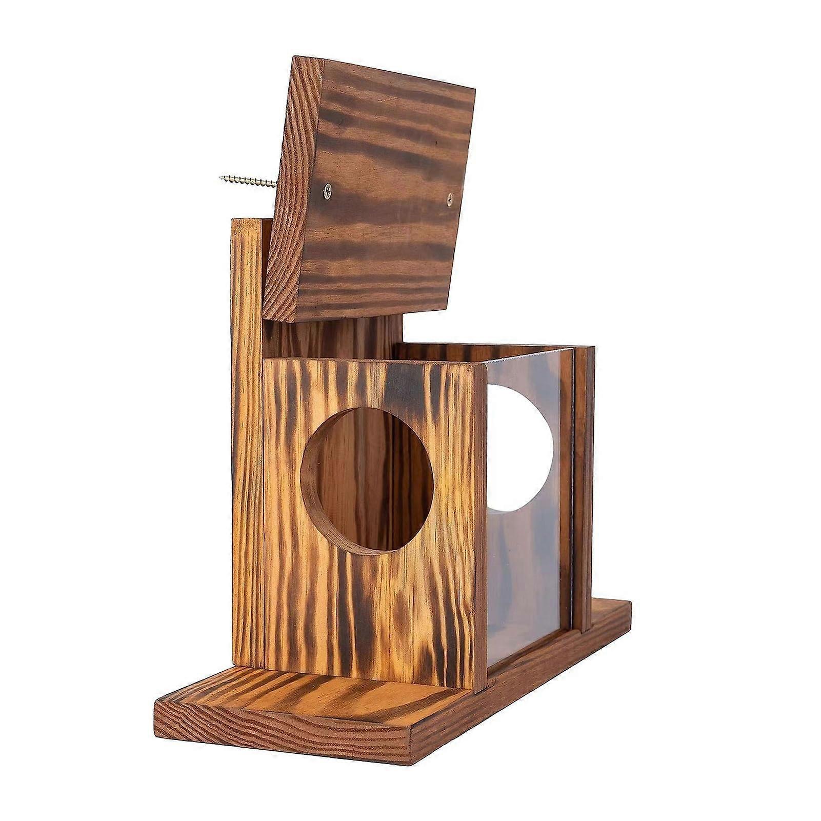 Squirrel Feeder Rustic Pine Wood Box with Transparent Panel, Large Chipmunk House for Garden
