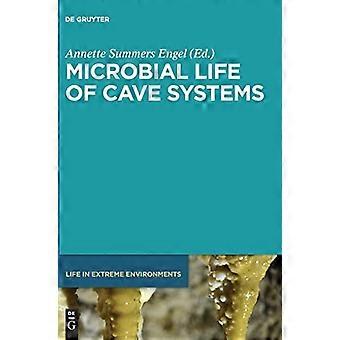 Microbial Life of Cave Systems