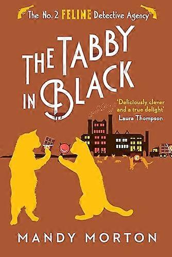 The Tabby in Black