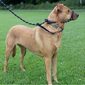 Anti Pull Dog Lead Figure Eight Style with Nose Loop for Better Control Walking