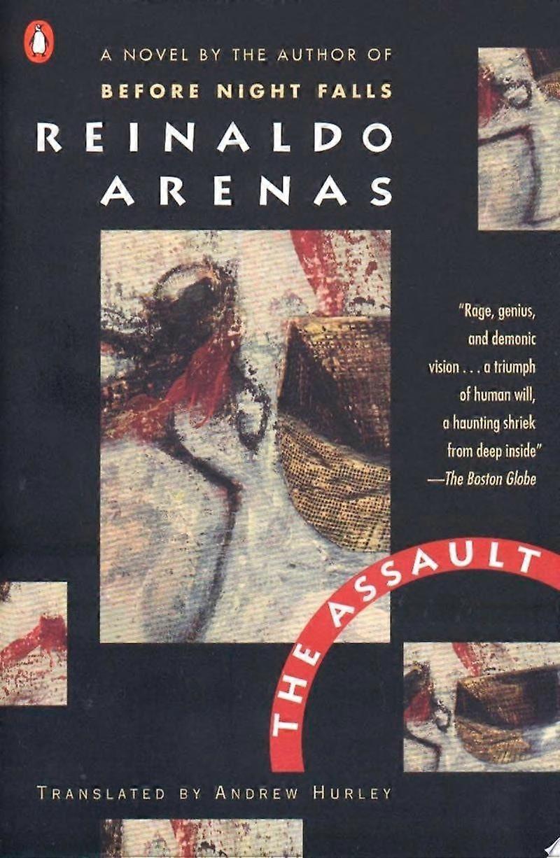The assault a novel