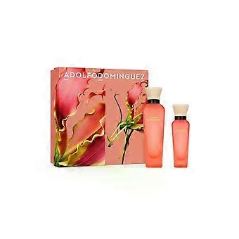Adolfo Dominguez A D Agua Fresca Mango Palmarosa Edt Spray 120ml 60ml Sets