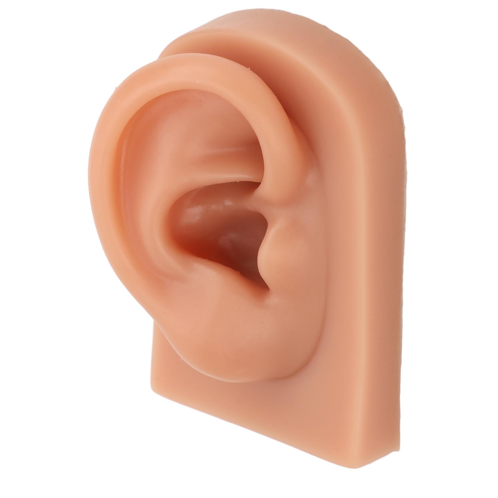 3D Piercing Practice Ear Model Dark Skin Color Soft Silicone Ear Model for Earrings Display Acupuncture Right 