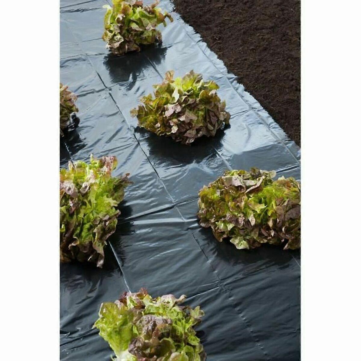 Weed Control Net Nature