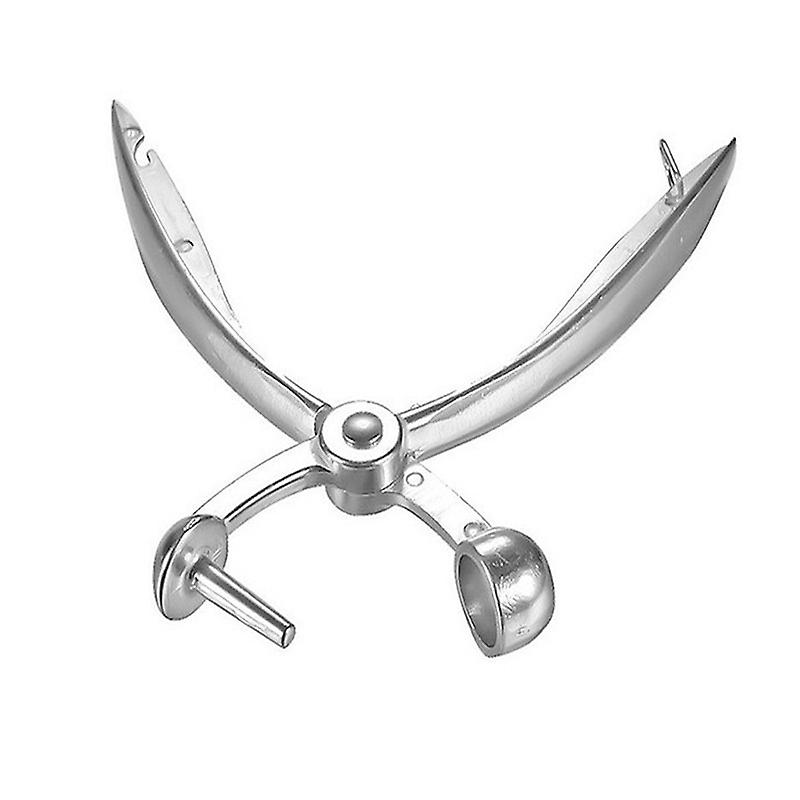 Cherry pitter, date pitter, olive pitter, pitting tool, cherry pitter