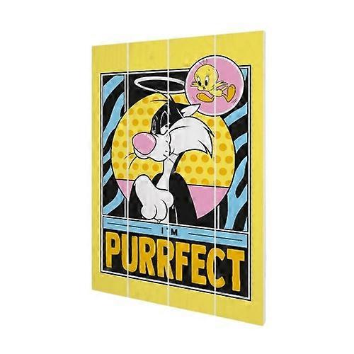 Looney Tunes I'm Purrfect Plaque