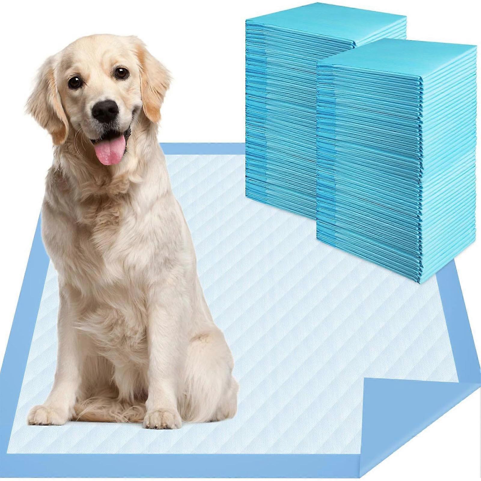 Disposable Pet Training Pee Pads Super Absorbent & Leak-Proof Training Pads for Puppies Dogs Doggie
