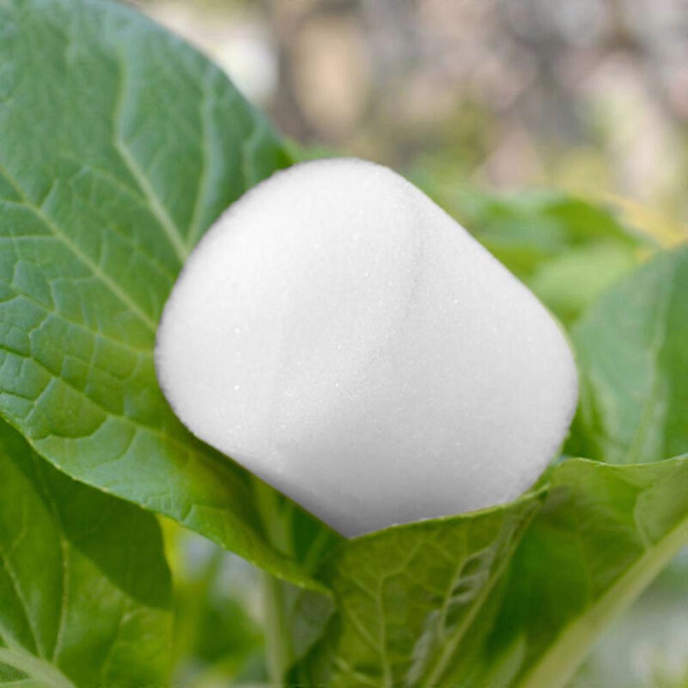 32mm Soilless Hydroponic Sponge Cylinders Sponge For Hydroponic Seed Grow