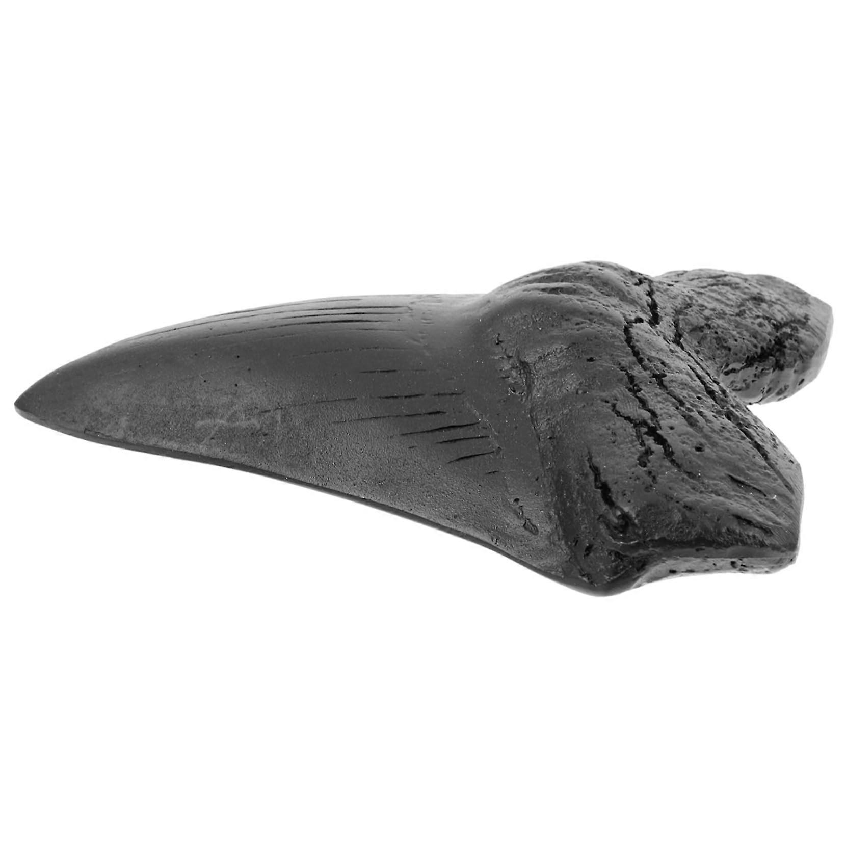 Megalodon Tooth Fossil Model Replica Black Resin Decoration for Paleontology Teaching and Home Decor