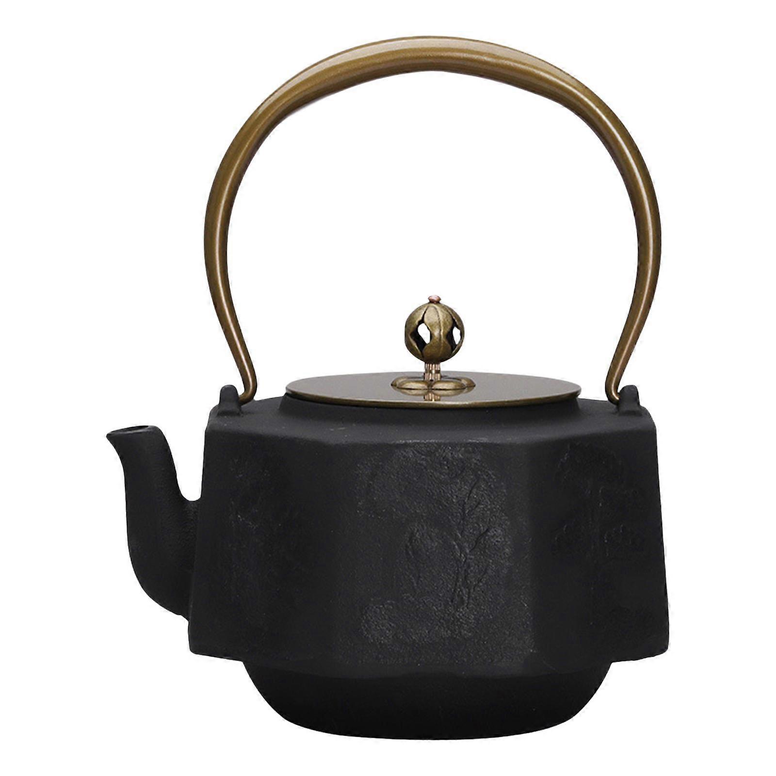 Cast Iron Teapot Sturdy Chinese Tea Ceremony Water Kettle with Copper Handle