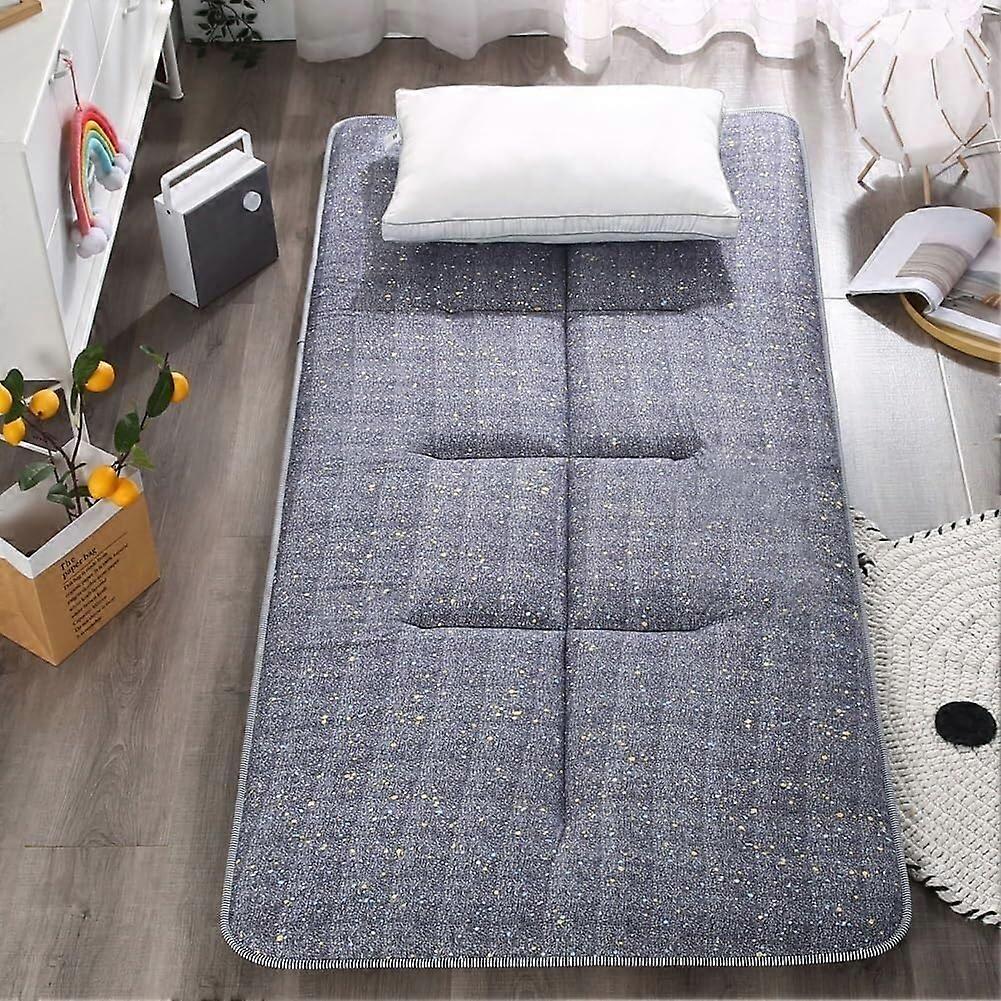 Portable futon mattress, Japanesestyle floor mat, foldable rollup sleeping pad (D, 120 x 200 cm)