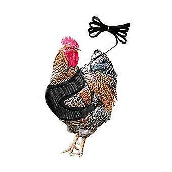 1 Satz „Harnais de poulet avec laisse respirant poulet canard de poulet gilet de volaille“ für die Geburt im Alter von 25–26 Jahren