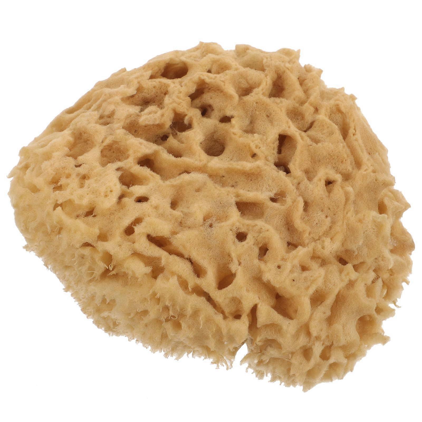Natural Sea Sponge Bath Sponge with Honeycomb Texture for Gentle Exfoliation and Rich Lather