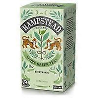 Green Tea 20 infusion bags