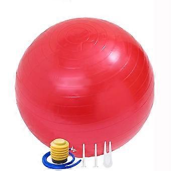 Exercise Ball for Balance Stability Fitness Workout Yoga Pilates at Home Office