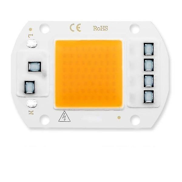 Warm White 20W Led Grow Light Phyto Lamp full Spectrum No Need Driver For Growth Flower