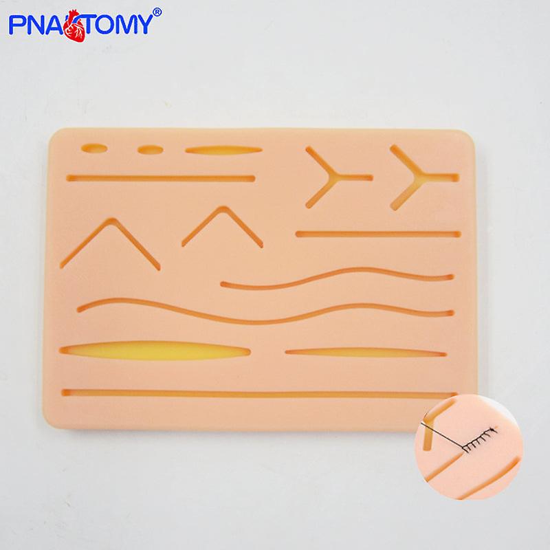 人間の皮のモデル取り外し可能なDIYの教育装置手動4Dのマスター拡大された皮の構造19個の教育資源