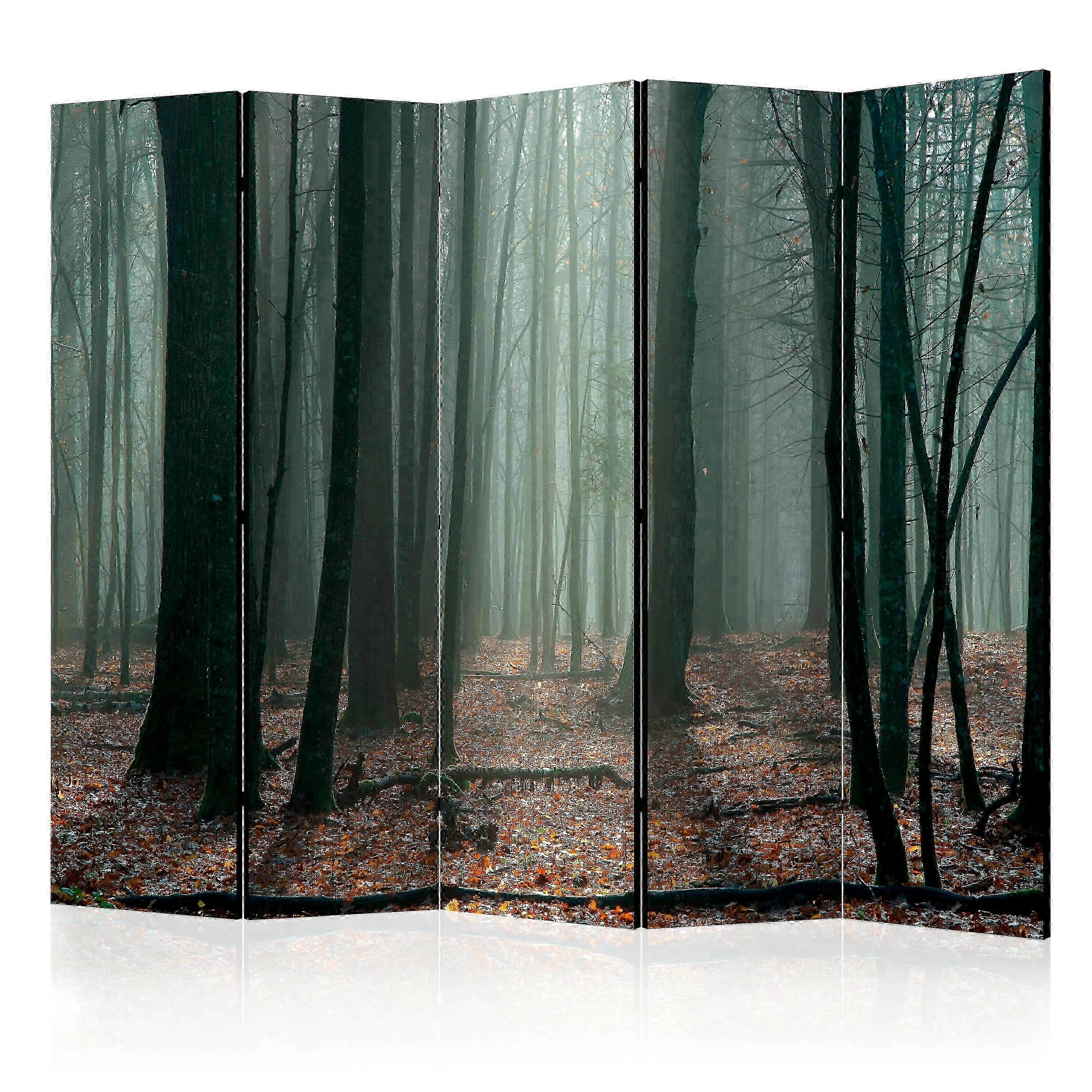 Divisória - Floresta das bruxas II