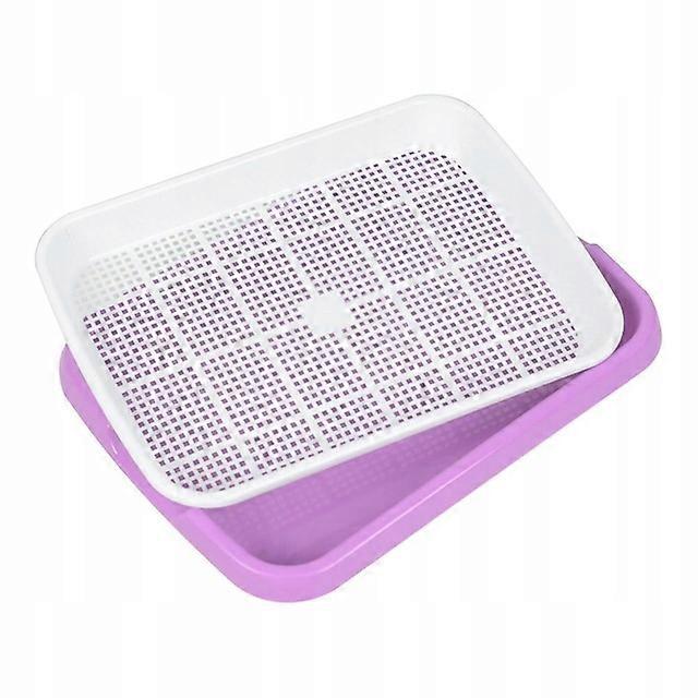 Spire spiring frø planting