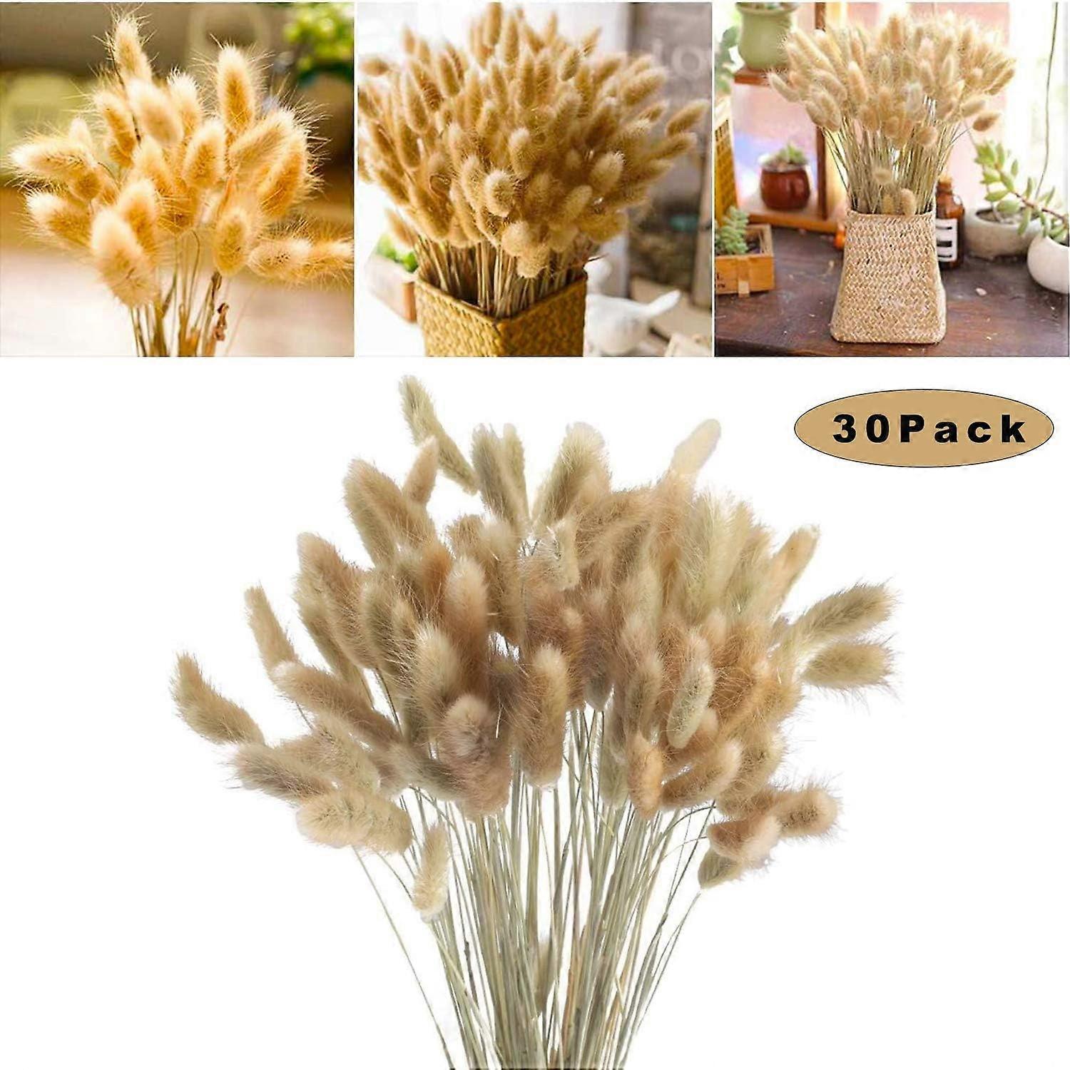 30 stykker Reed Grass Natural Pampas Grass