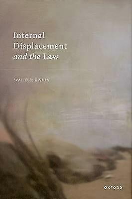 El desplazamiento interno y la ley