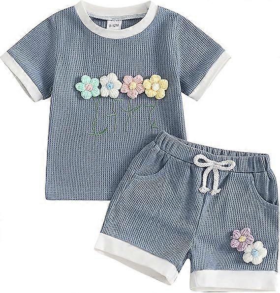 Toddler Baby Girl Summer Clothes Waffle 3D Floral Short Sleeve Tops Elastic Waist Shorts Cute Infant Outfits