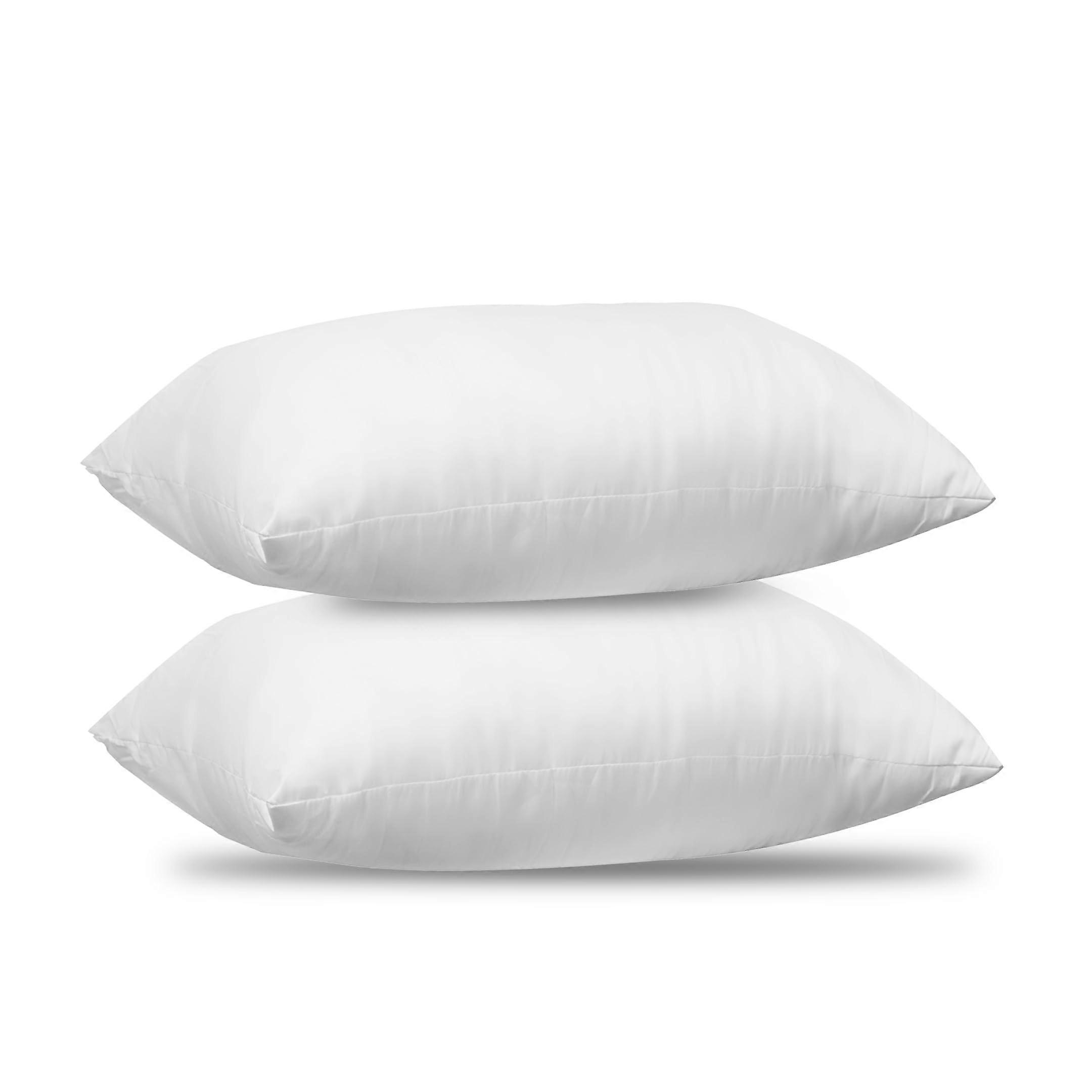 2 Pack Throw Pillows with Premium Filling Down Alternative for Bed 12x20