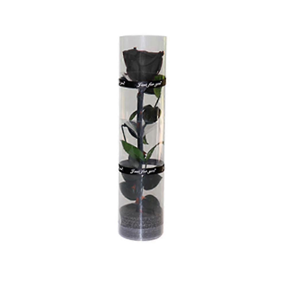 25-26 Rose éternelle préservée, rose durable, rose à floraison éternelle noire
