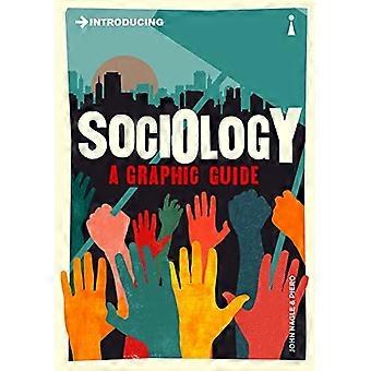 Introductie sociologie: Een grafische gids