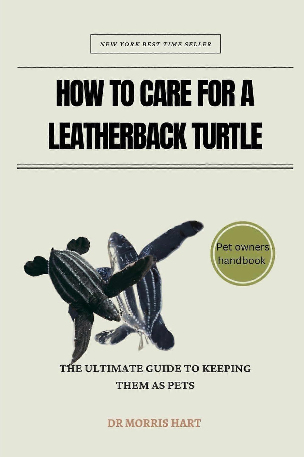 How to care for a leatherback turtle the ultimate guide to keeping them as pets