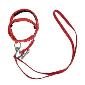 Supervised Stable Handling Nylon Halter Set