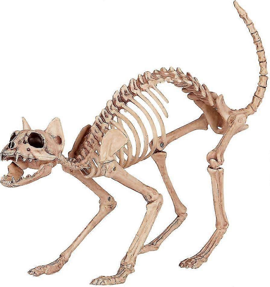 Hlraizz  Cat Skeleton Prop. - Costume Accessory