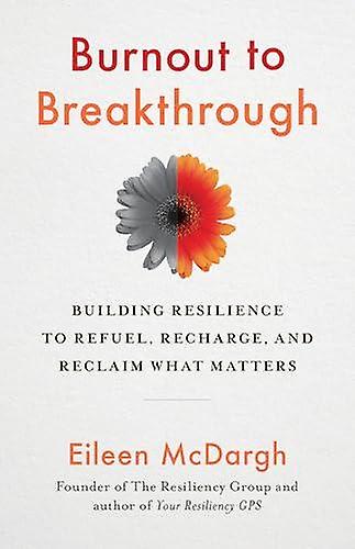 Burnout To Breakthrough by Eileen McDargh Paperback