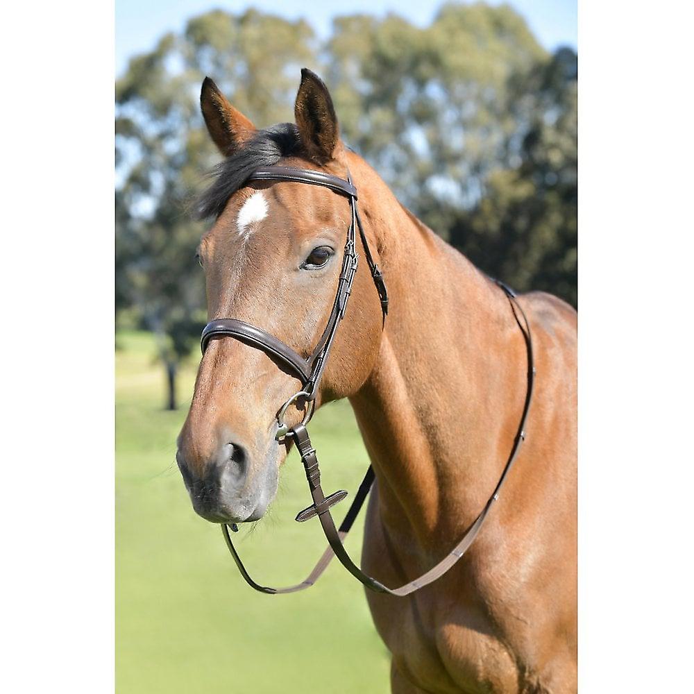 Kincade Classic Plain Raised Cavesson Bridle With Reins