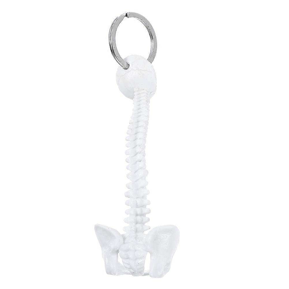 Mini Spine Skeleton Keychain White Small Human Spine Skeleton Keychain for Men