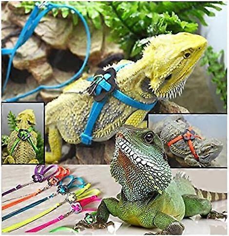 Adjustable belt for reptiles and lizards, blue,2024 Ping