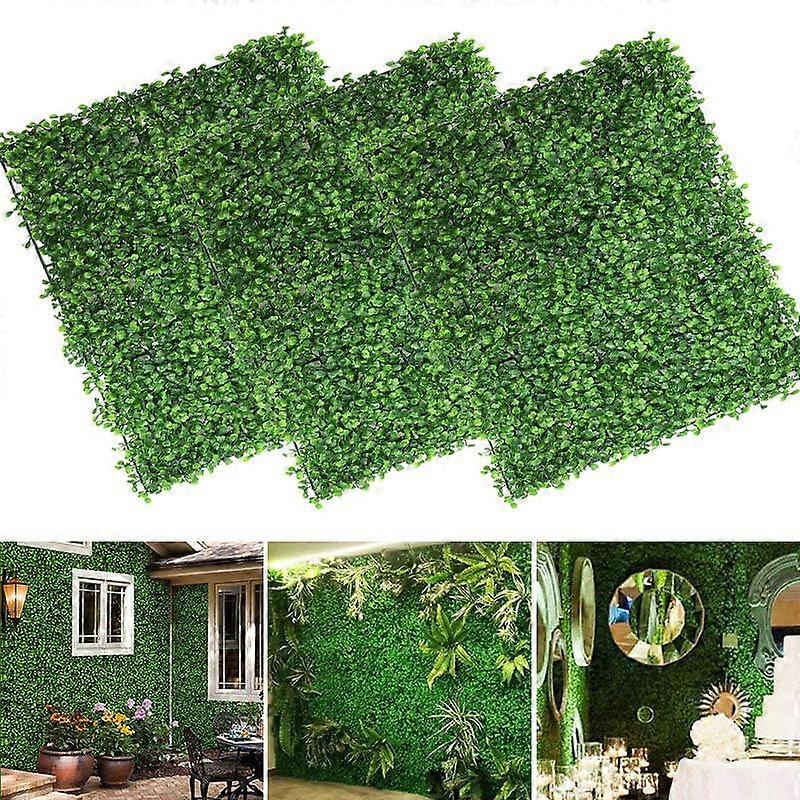 bio saatgut gnstig kaufen BIO Saatgut Selbstversorger-Box  Biogartenladen