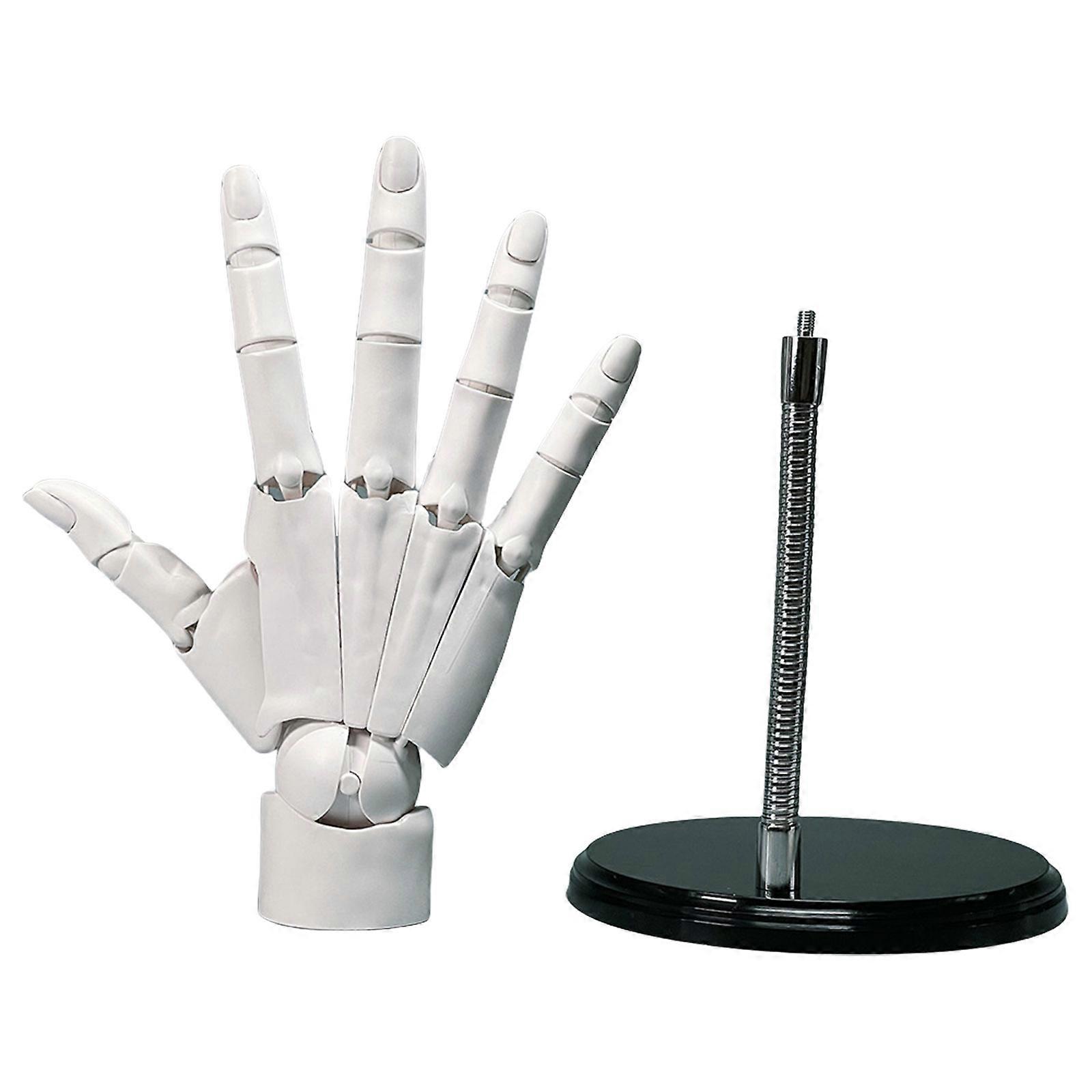 Moveable Display Manikin Hand with Finger Joints for Drawing Sketching Painting Jewelery Display Holder Desk Decoration white right hand
