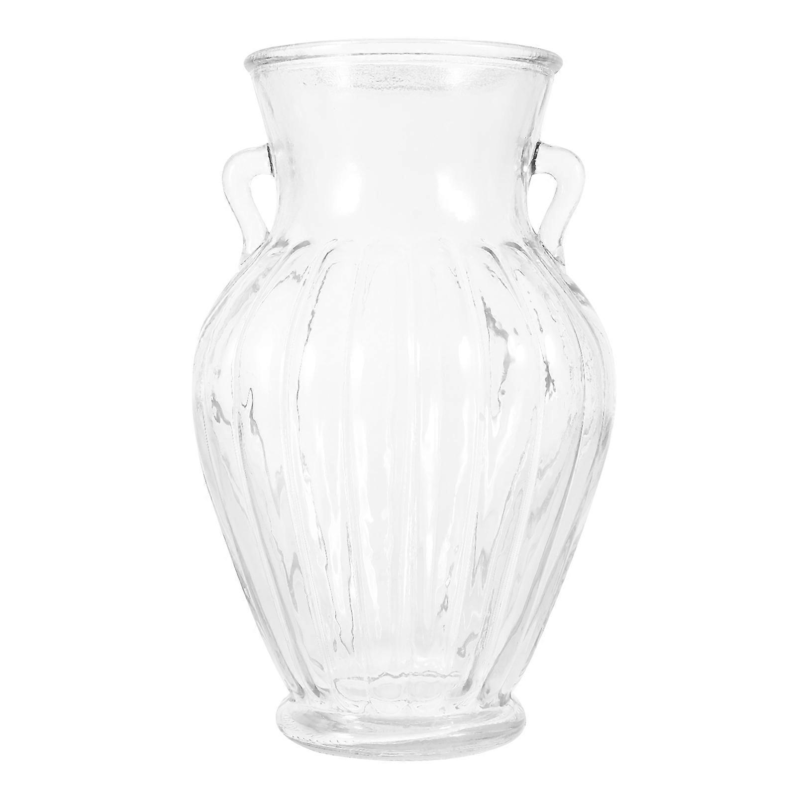 a polished and engaging product description for your **Glass Vase with Handles and Ribbed Design**, tailored for hydroponic plants and room décor: