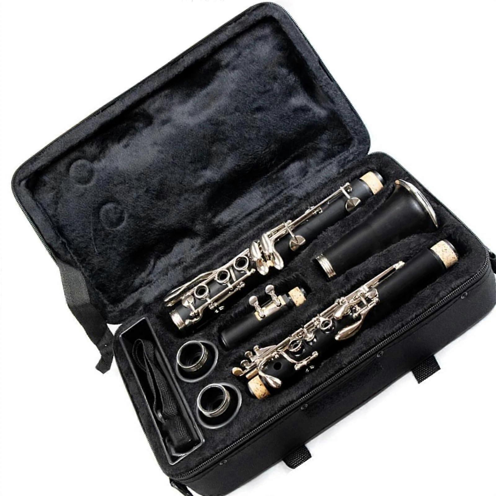Beginner Clarinet, 17Key Professional Instrument, Tenor Clarinet, Portable Clarinet for Adults